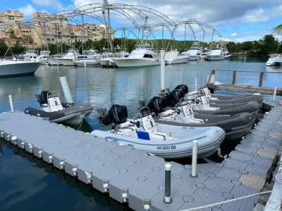 a flock of birds sitting on a dock next to a body of water